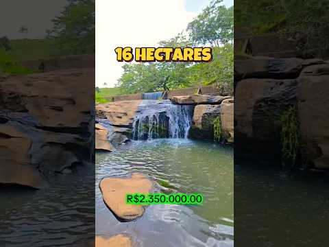 ✨️SÍTIO À VENDA EM ITANHOMI-MG COM CACHOEIRA + 3 RIOS R$2.350.000✨️