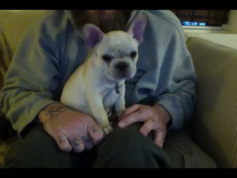 Ragan Listens to Rocky's Motivational Speech