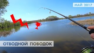 Ловля окуня в мае практические советы