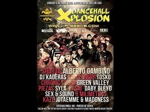 DXHellin 2013 - Green Valley y Tosko [Gente real]