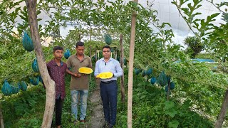 অফসিজনে তরমুজ চাষ।