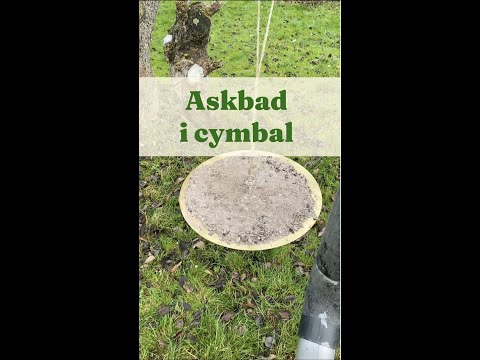 Askbad i cymbal - Trädgårdshacks med GardenR