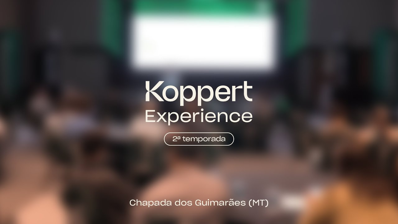 Video preview thumbnail