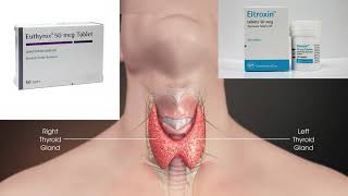 الطريقة الصحيحة لاستعمال حبوب هرمون الغدة الدرقية(التروكسن و ايوثيروكس)