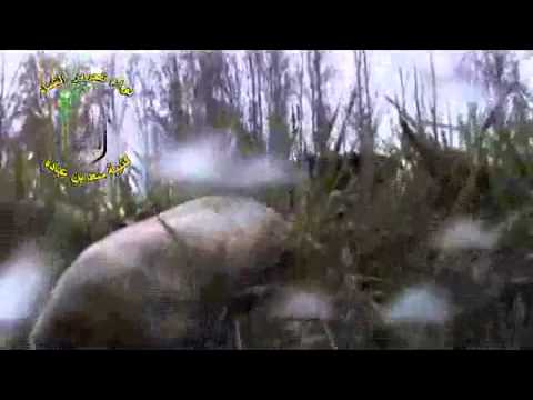 اشتباكات بين كتيبة سعد بن عبادة وقوات النظام على جبهة اللواء 81 في الفوطة الشرقية في ريف دمشق