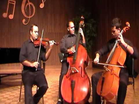 Promotional video thumbnail 3 for Fortíssimo Strings
