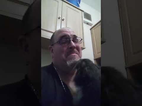 therapy cat Ralph gives love and kisses one of many of his daily sessions of intense calming therapy