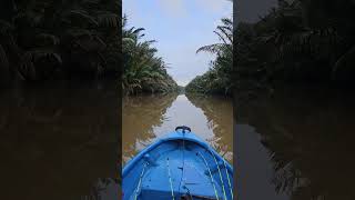 Download lagu Udang, kan kucari titikmu #mancing #fishing mp3 Download lagu Udang, kan kucari titikmu #mancing #fishing mp3