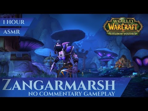 Zangarmarsh - Gameplay, No Commentary, ASMR (1 hour, 4K, World of Warcraft The Burning Crusade)
