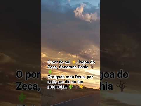 #obrigada #pelo #o #dia #de #hoje 👏🏽☀️🪾🌵 #lagoa #do #Zeca #Canarana #Bahia