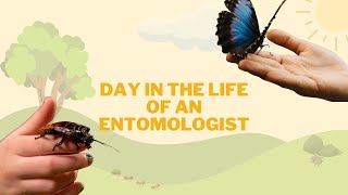 Download lagu Day in the Life of an Entomologist mp3 Download lagu Day in the Life of an Entomologist mp3