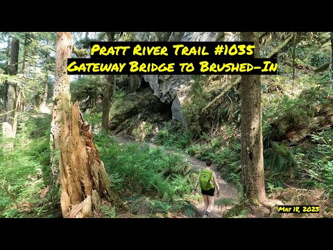 Pratt River Trail #1035; Gateway Bridge to Brushed-In - Hiking