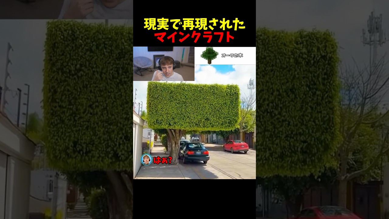 現実世界で再現されたマイクラの要素を見るドクタードーナツ#shorts