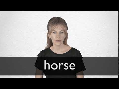 Meaning horse blanket girl Farm Horse