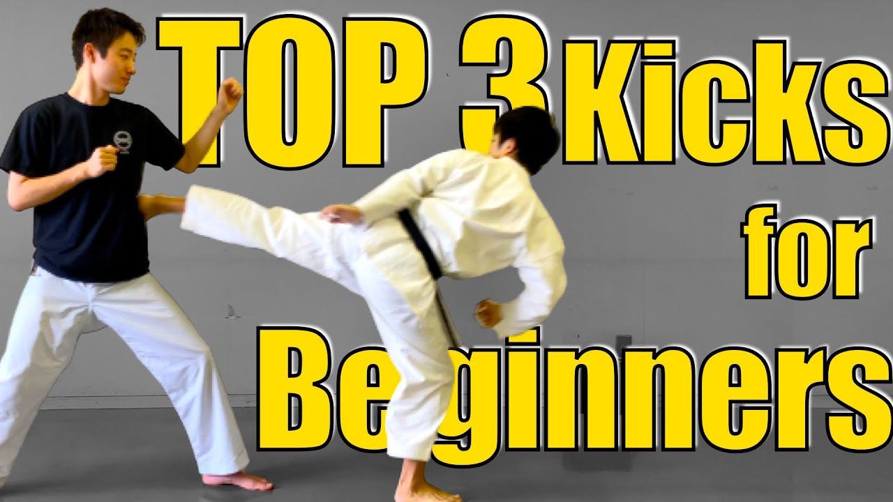 What are the 3 basic kicks in karate? More REF