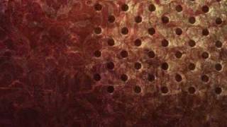 Caspian - Concrescence