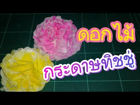 ตื่นเต้นภาพผู้หญิง สมุนไพรเพื่อเพิ่มความแข็งแรง