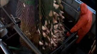 Trailer Sea The Truth