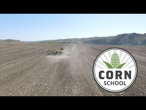 Corn School: Yield-boosting strategies heading into a dry year