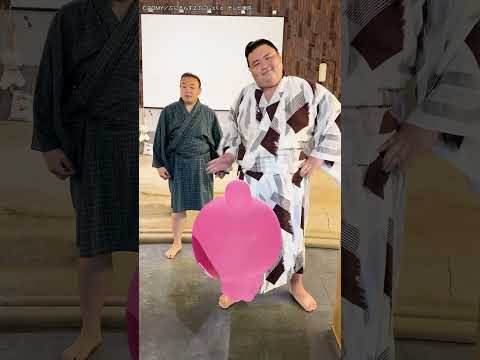 力士のほっぺを触ってみた結果　#ぷにるんず #ぷに活 #ぷにぷにダンス #ダンス動画 #punirunes #toy #hobby #takaratomy #TVTOKYO #dance