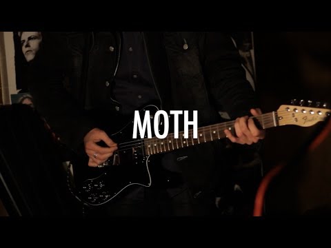 Moth - 