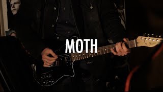 Moth - 