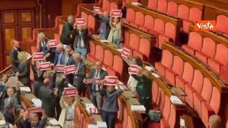 Dl sicurezza, opposizioni con cartelli in Aula Senato, 'Con Governo Meloni zero sicurezza'