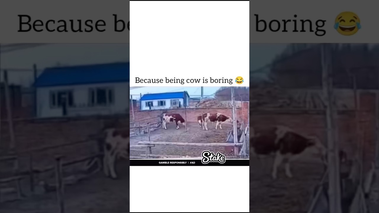 The Cow Said I Identify As A #Horse 🤣😂#funny #hilarious #funnyvideo #toofunny #lol #viral