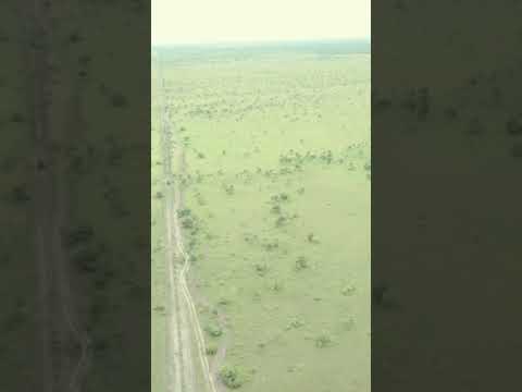 Faz.42 mil hectares valor 5 por hec. escriturada no MT São Félix do Araguaia zap.91982165639