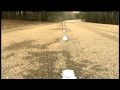 Salamander Crossing