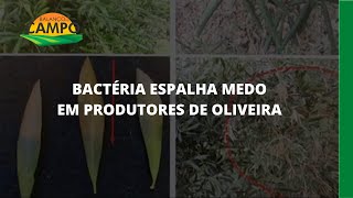 Miniatura do vídeo