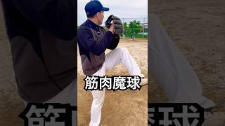 ノーアップで豪速球を投げる格闘家 #shorts