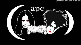 A Perfect Circle — Diary of a Madman-Lovesong mashup (LIVE)