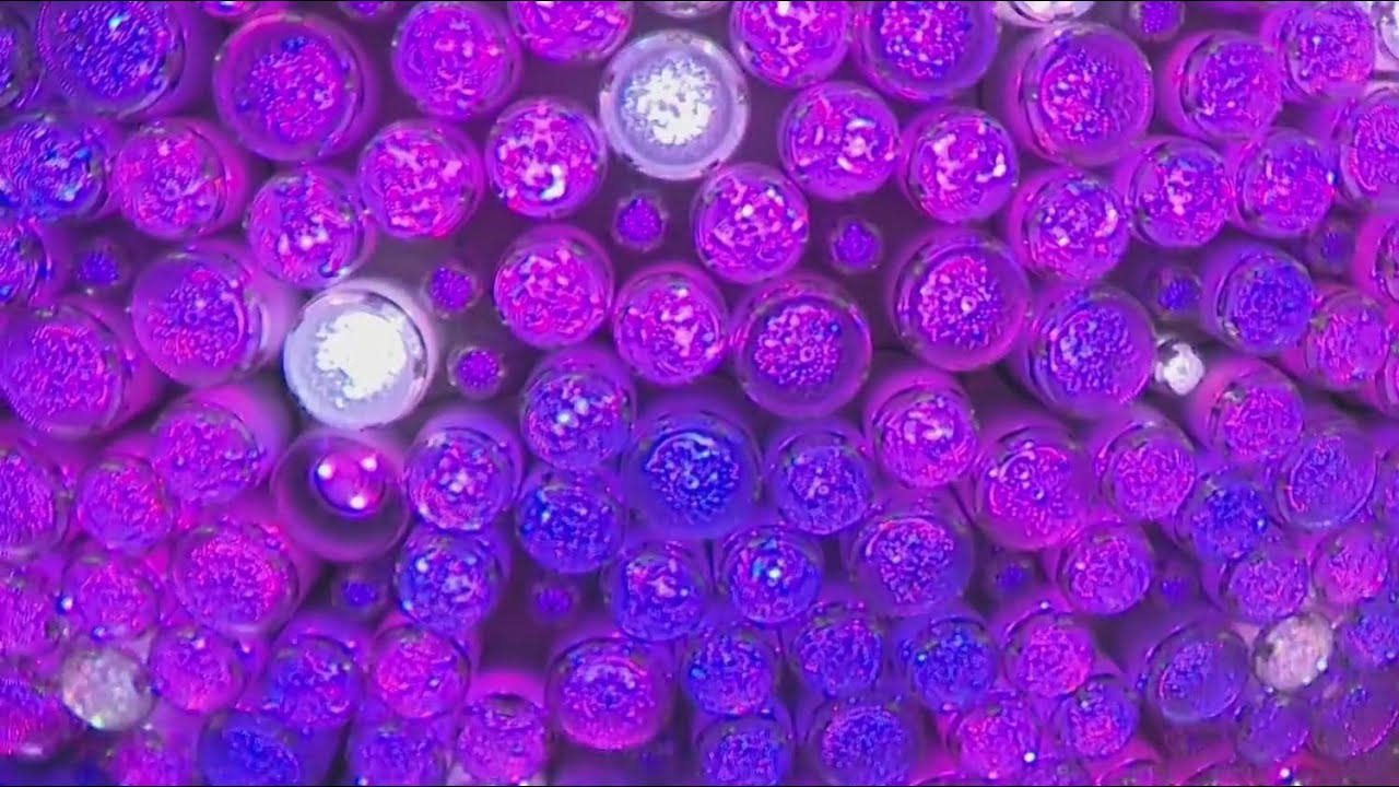 New Year's Eve Ball 2026: Celebrating America's 250th anniversary