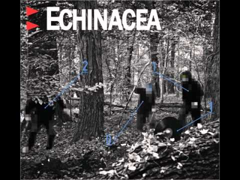 Echinacea - Miejski Kwiat feat. PROCEENTE [2011]