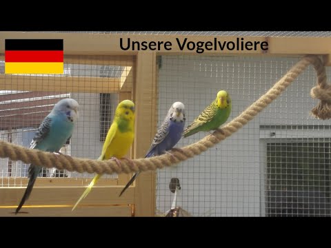 # 1 Voliere für unsere Wellensittiche - der Bau.