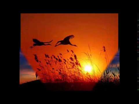 Chưa tàn giấc mơ Sheet - Bích Tuyền