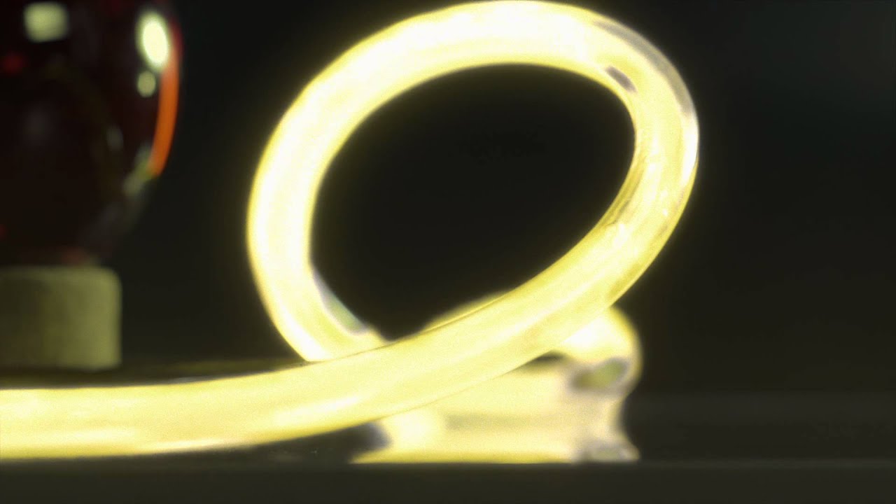 Future STEM Innovators