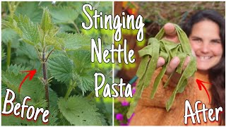 How To Make Stinging Nettle Pasta! 🍲 Traditional Wild Food Recipes