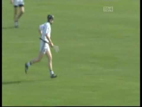 2011 Carlow v Limerick National Hurling League Division 2