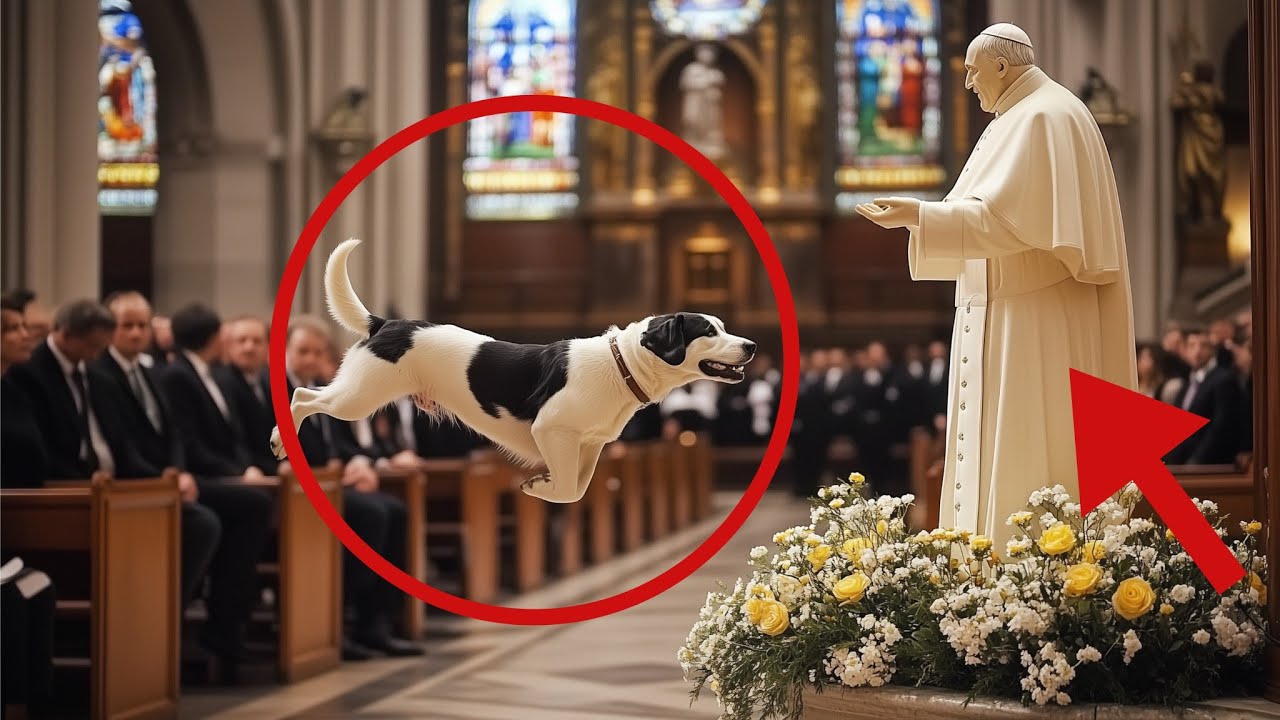 Dog Interrupts Mass, Barks at Saint John Paul II Statue—What Happens Next Will Shock You!