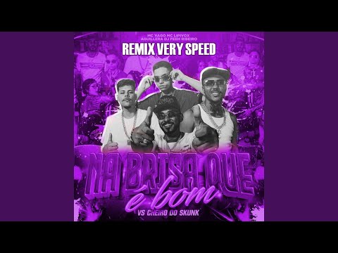 Na Brisa Que é Bom VS Cheiro do Skunk (Very Speed)