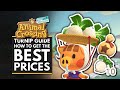Animal Crossing New Horizons | Turnip Guide, Stalk Market & How to Get the Best Prices