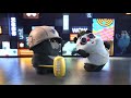 【熊猫班卜❤】Dance with Bamboo lol | Panda | Lisa Crab Dance | Blackpink | Laugh and Happiness