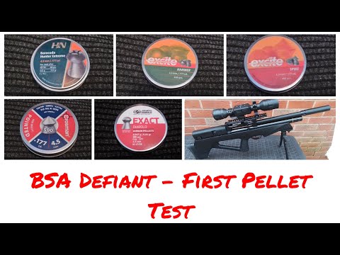 New BSA Defiant - What Pellets suit this Gun?