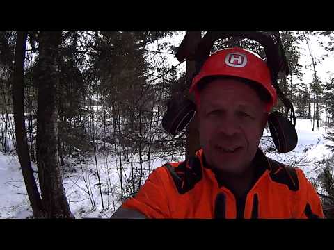 Metsolan metsäkoulu 99, väkipyörät, vipuvarsi ja konkelo.