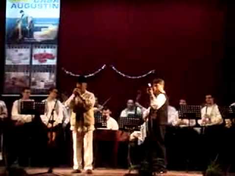 Vasile Soporan - Trecut-o doru valea.flv