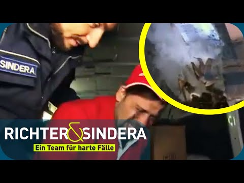 Bombe explodiert in der Hand von Boten! | 1/2 | Richter & Sindera - ein Team für harte Fälle | SAT.1