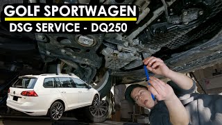 DSG Fluid Service Golf Sportwagen DQ250 Mk7 GSW