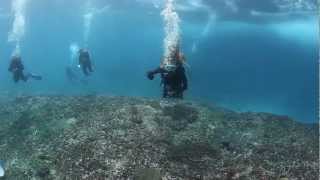 preview picture of video 'Diving Bali - Nusa Penida'
